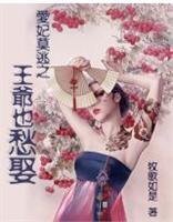 爱妻莫逃之王爷也愁娶