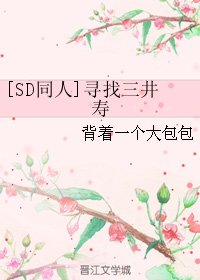（SD同人）[SD同人]寻找三井寿
