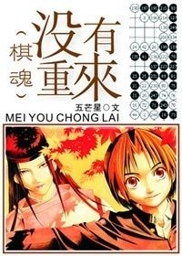 （棋魂同人）没有重来