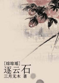 (综琼瑶同人)逐云石