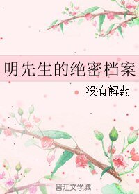 （伪装者同人）明先生的绝密档案