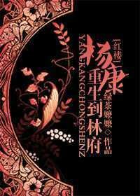 （红楼同人）杨康重生到林府