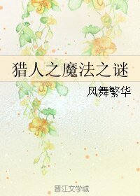 （猎人同人）猎人之魔法之谜