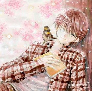 （网王同人）我不是来捣乱的！