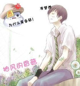 （网王+轻音同人）抽风的香菇