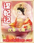 谋妃记