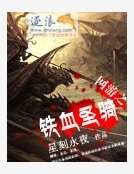 网游之铁血圣骑