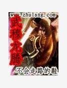 武穆龙腾