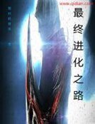 最终进化之路