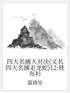 四大名捕大对决（又名四大名捕走龙蛇）12：铁布衫