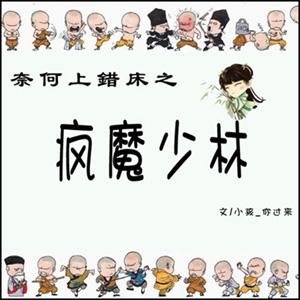 奈何上错床之疯魔少林