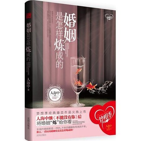 婚姻是怎样炼成的（出书版）