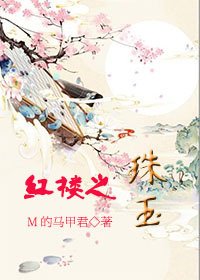 （红楼同人）红楼之珠玉