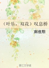 （全职同人）（叶乐，双花）叹息桥