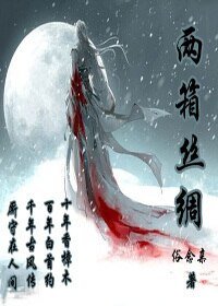 两箱丝绸