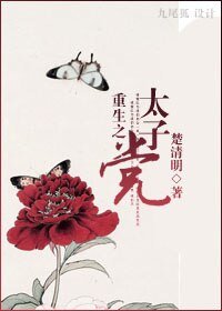 重生之太子 党