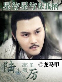 （陆小凤同人）星兮星兮从我栖