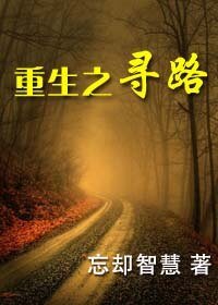 重生之寻路
