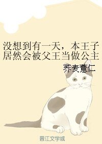 没想到有一天，本王子居然会被父王当做公主送给魔王