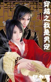 穿越之我是男宠？！