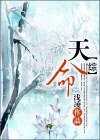 （综同人）综 天命