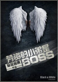 劳资的小弟是BOSS（系统）