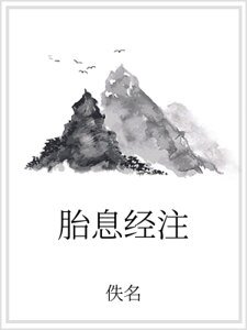 胎息经注