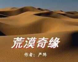 荒漠奇缘
