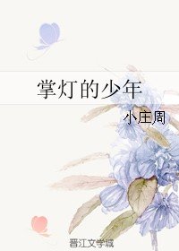 掌灯的少年