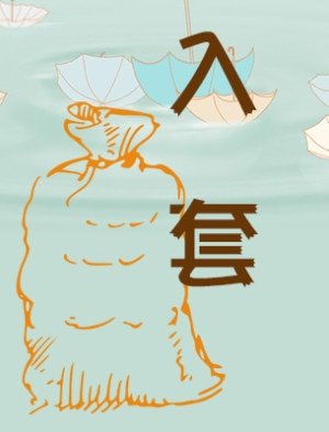 入套
