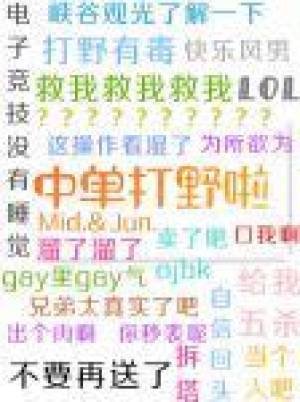 中单打野啦