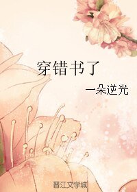 穿错书了