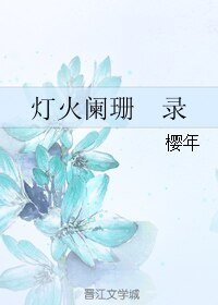 灯火阑珊　录