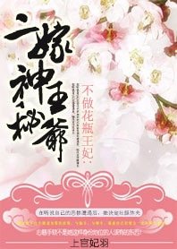 不做花瓶王妃：二嫁神秘王爷