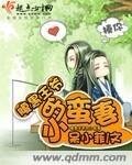 腹黑王爷的小蛮妻/痴傻公主变形记