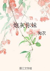炮灰你妹