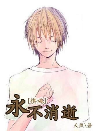 （棋魂同人）永不消逝