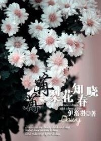 （网游）苒苒梨花知春晓