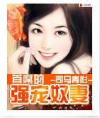 复仇总裁赎罪妻（又名：首席的强宠奴妻）