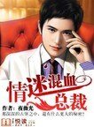 古堡奇缘：情迷混血总裁