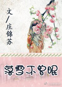 落雪不曾眠