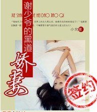 谢少爷的黑道娇妻