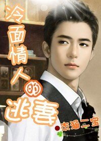 冷面情人的逃妻