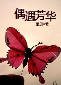 偶遇芳华