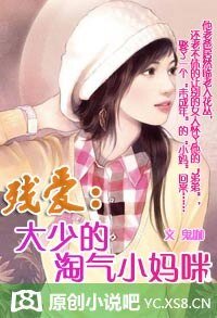 先欢后爱：惹火妈咪17岁/残爱：大少的淘气小妈咪