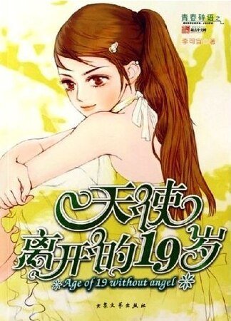 天使离开的19岁（出书版）