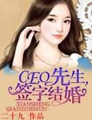 CEO先生，签字结婚！