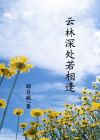 云林深处若相逢