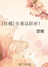 （红楼同人）皇桑这职业！
