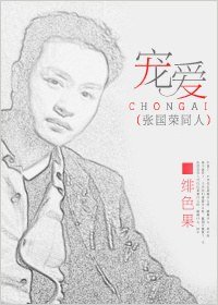 （张国荣同人）宠爱